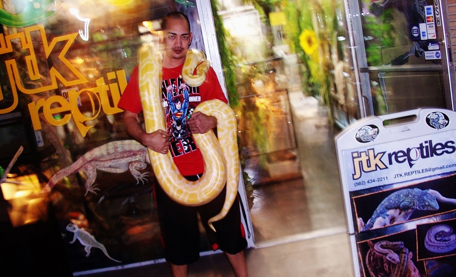 Reptile01