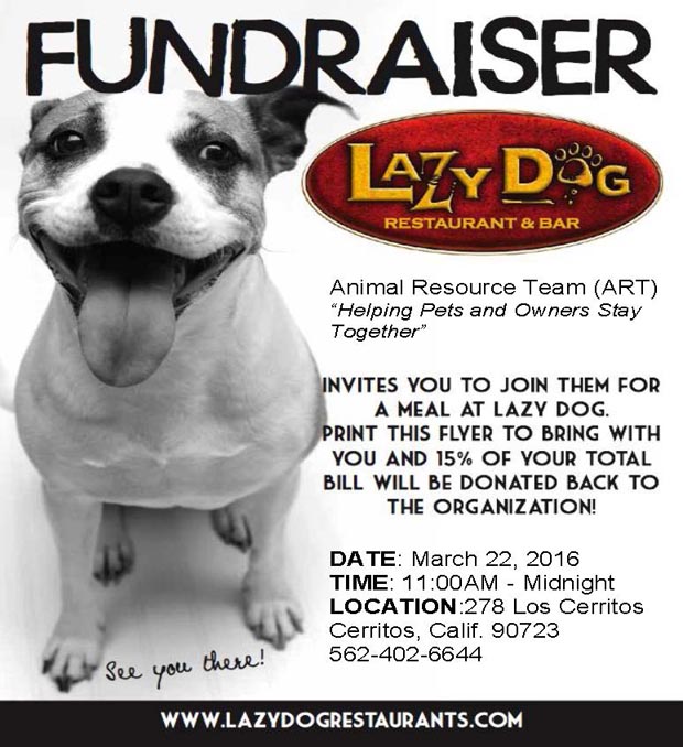 ART Fundraisertest 1