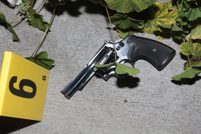 GUN OIS