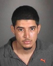 dany csulb suspect