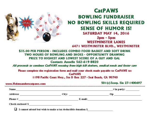 Bowling Fundraiser 2016