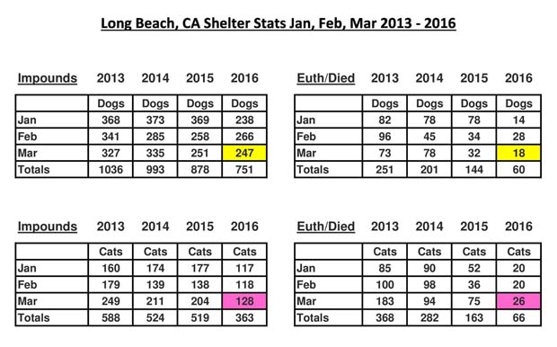 Shelter stats