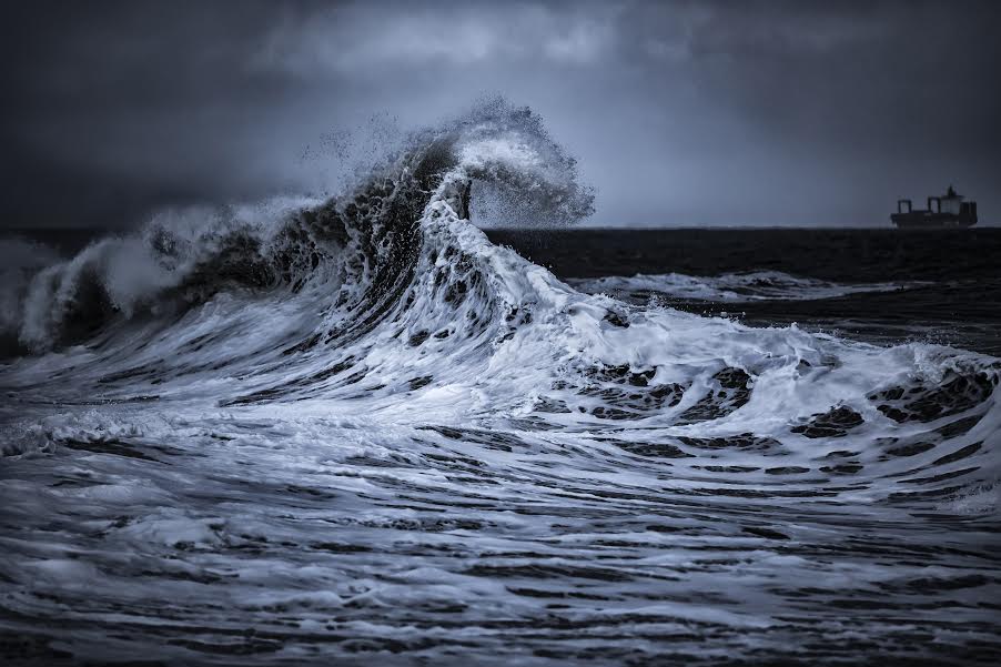 aquariumphotowinner