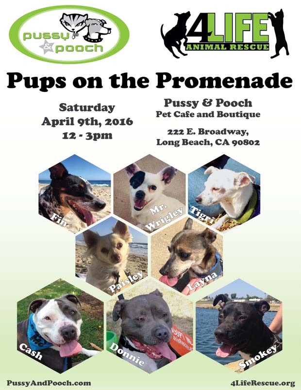 pupsonpromenade