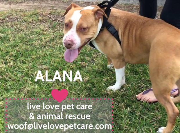 Alana