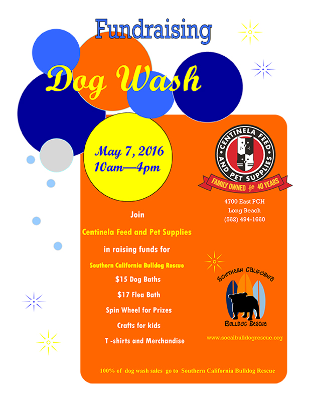 Bulldog rescue wash