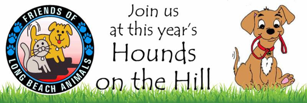 Hounds on the Hill