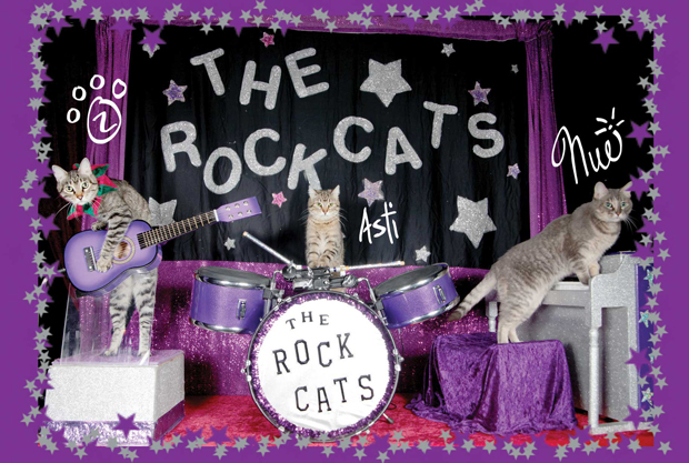 band-card-web-promo