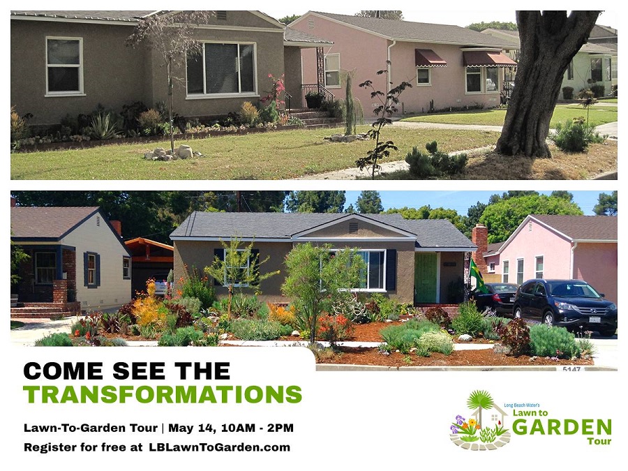 lawn2garden1