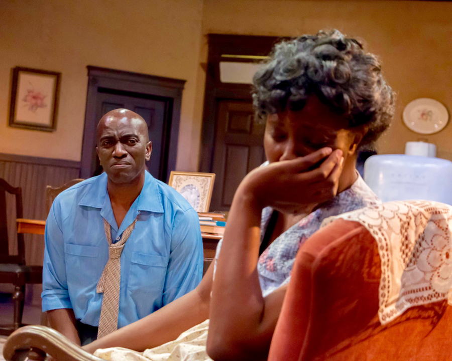 A Raisin In The Sun Photo 12