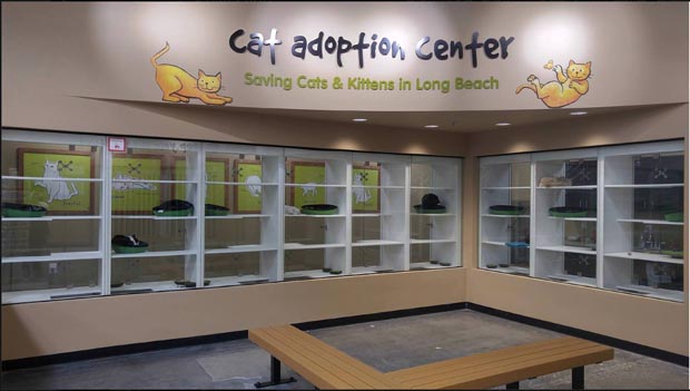 Cat Adoption Center