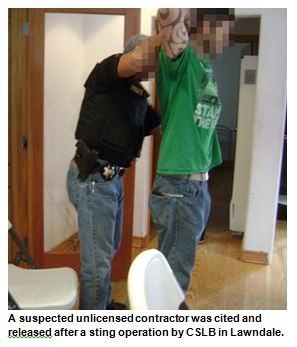 cslb sting operation