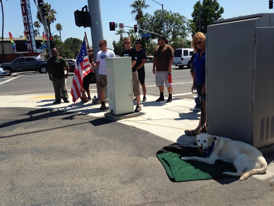 k9 credo locals