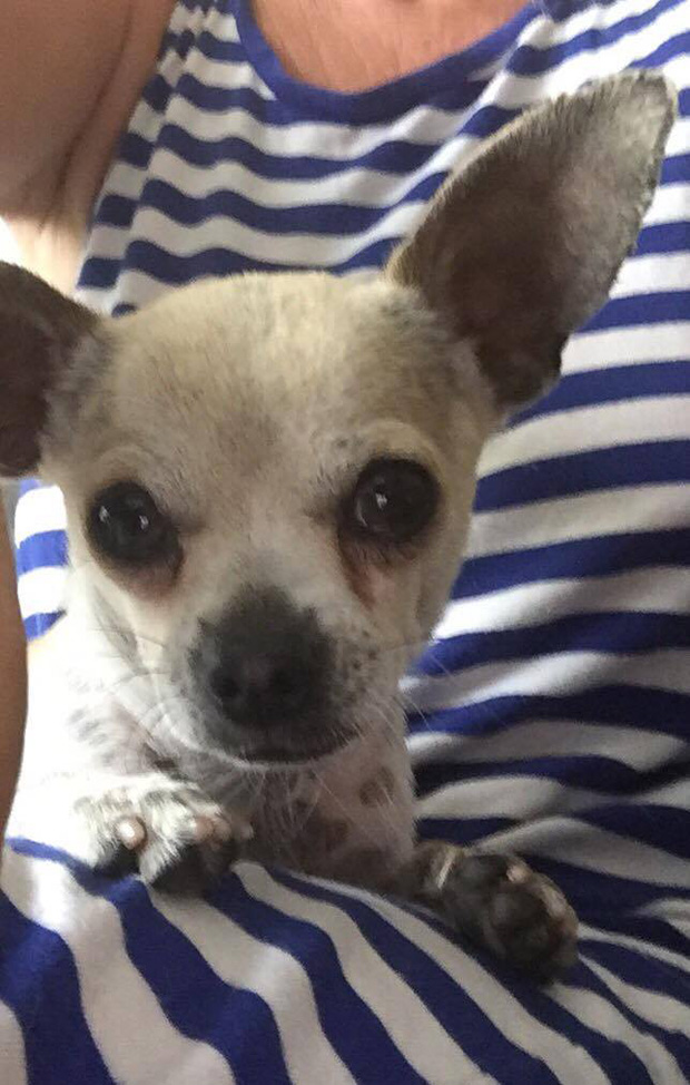 Artie 2