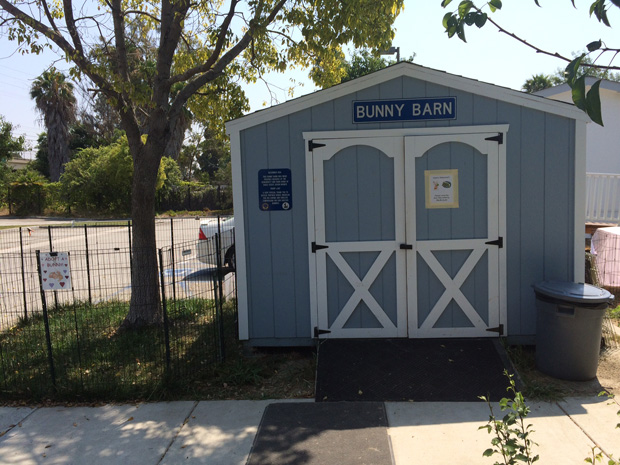 Bunny Barn