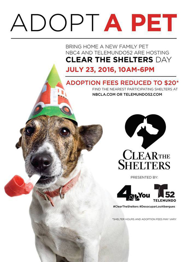 Clear the Shelters