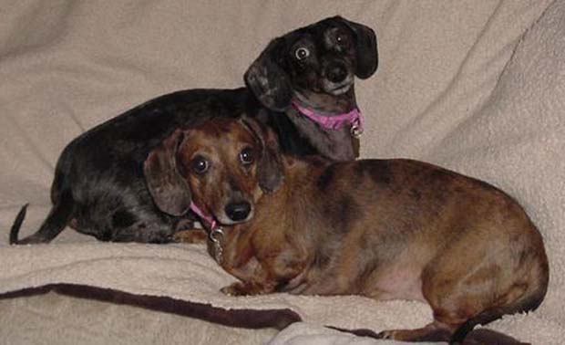 Darby and Margie