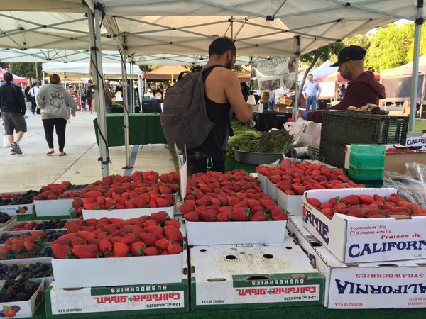 FarmersMarket
