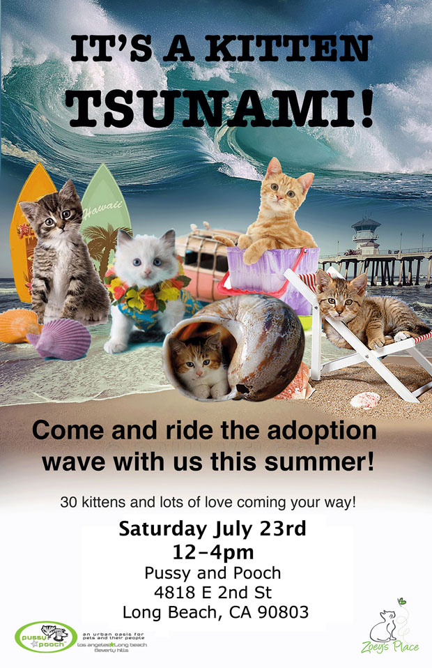KITTEN TSUNAMI PUSSY AND POOCH 7-30-16