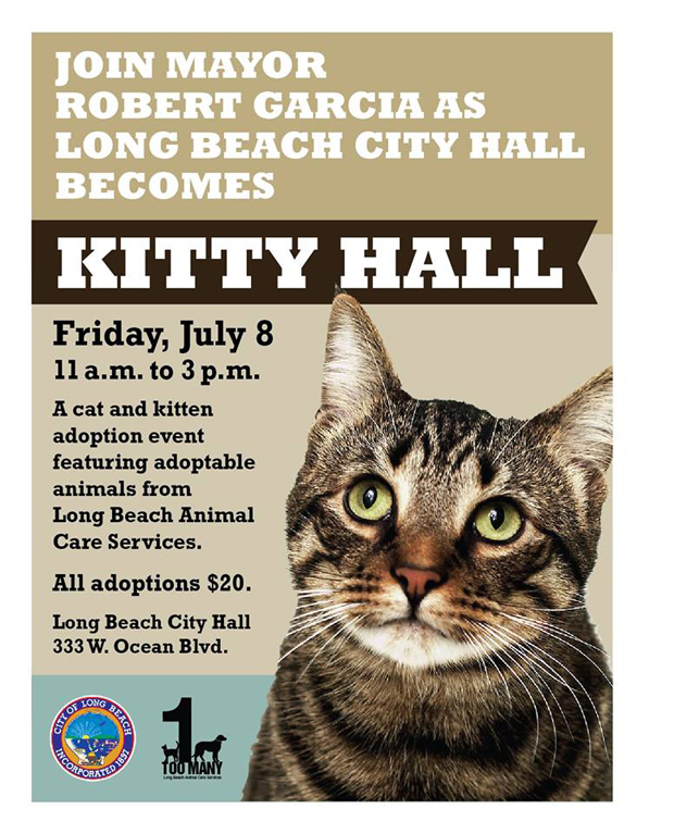 KItty Hall