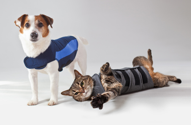 PR4 thundershirtdogscats