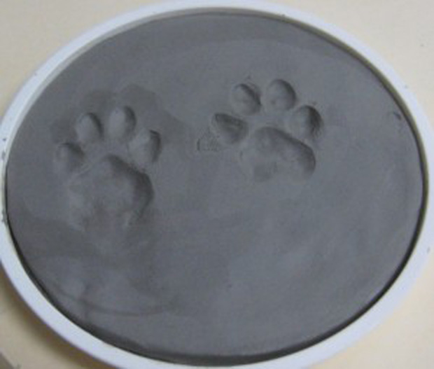 pawprint disc