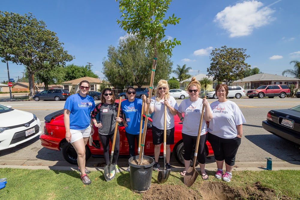 polbtreeplanting