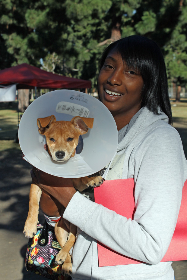 Lady with Dog