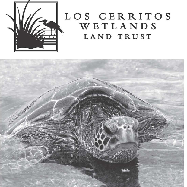 Sept 2016 Turtle Trek