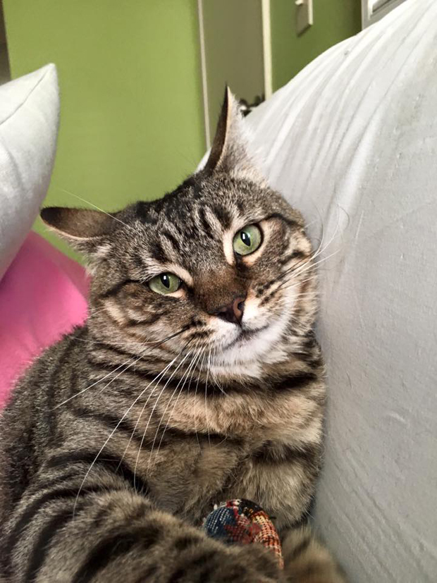 Tabitha Marie