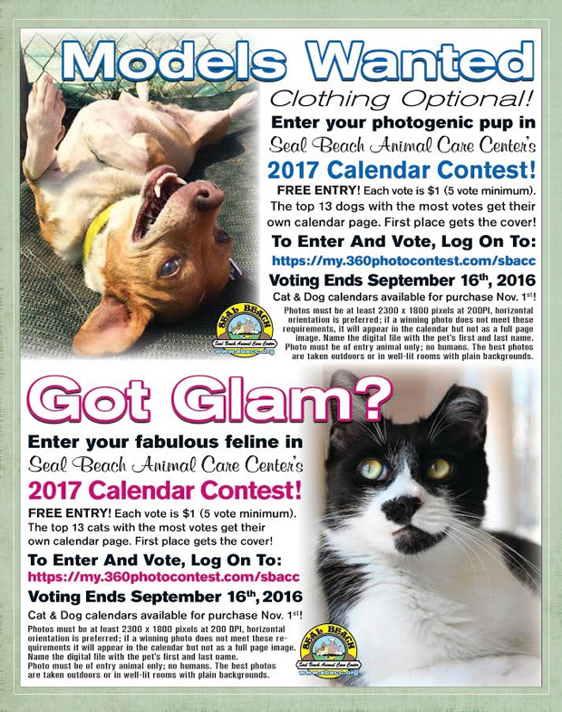 Cat calendar