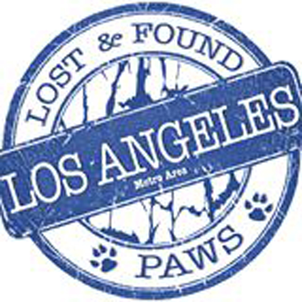 Lost and Found Paws