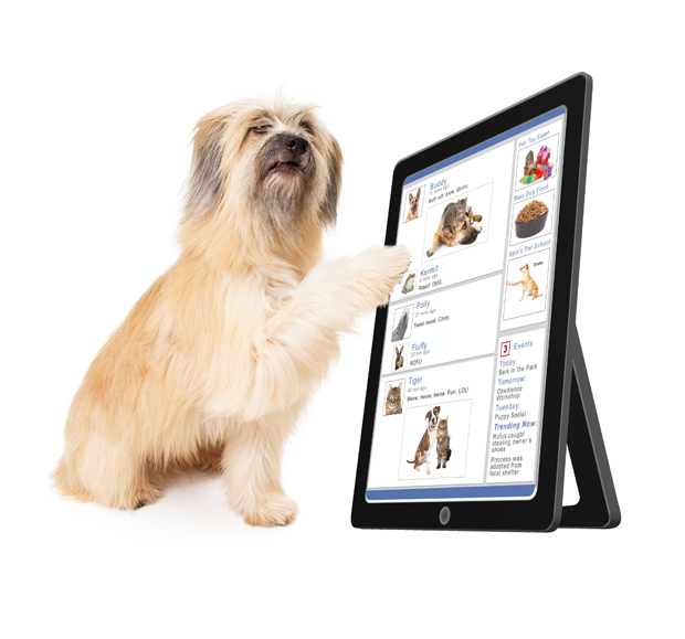 SocialMEdiaADogsLifePhoto