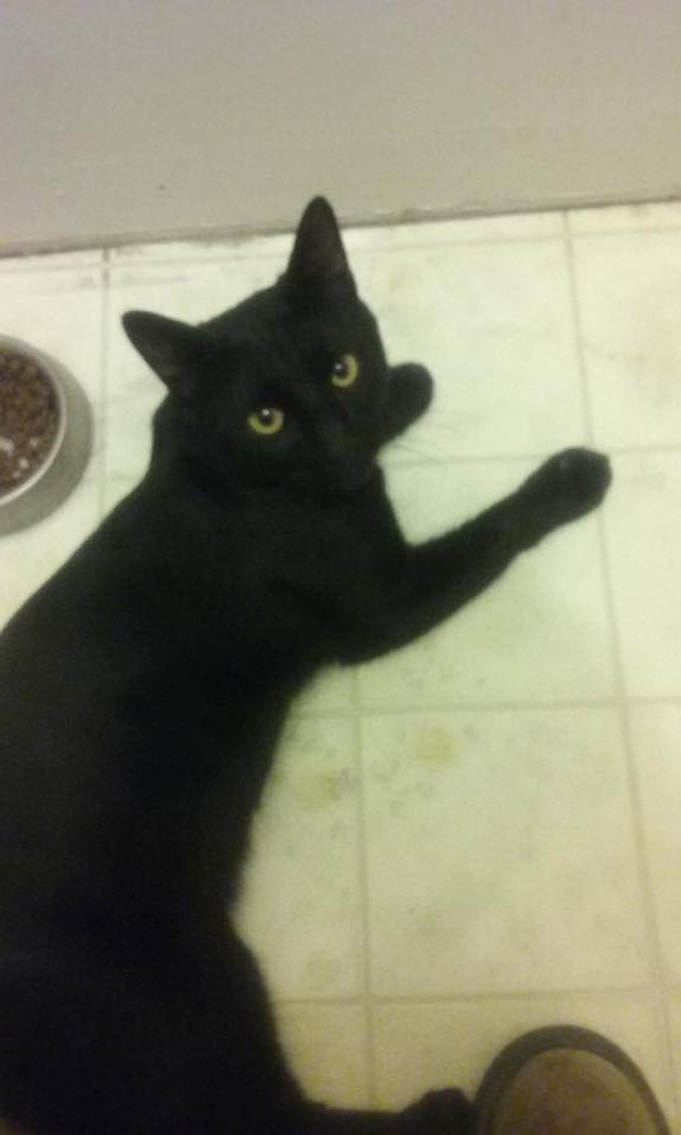 Black Panther
