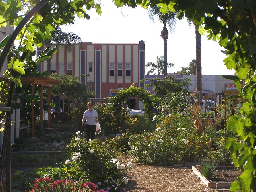 gardenwrigley1