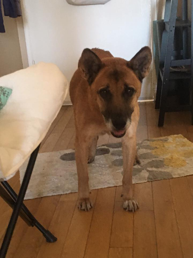 Bella