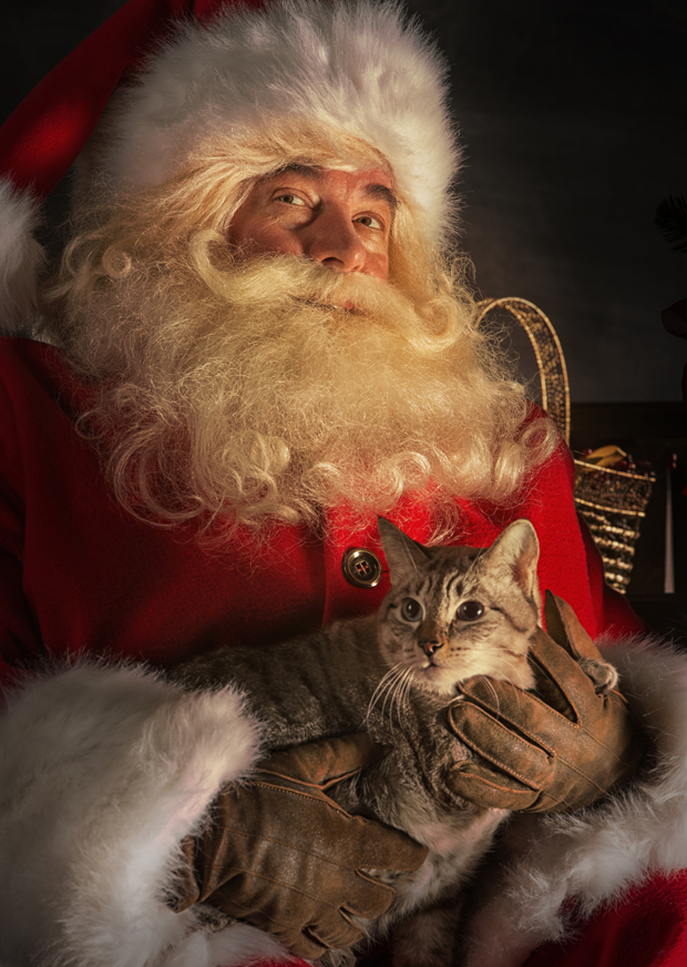 Milles Studios Santa Claus