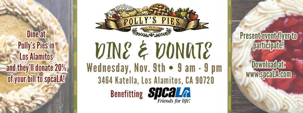 Pollys Pies