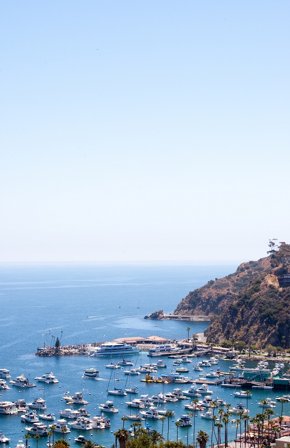 Catalina3