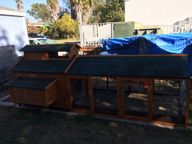 Finished coop