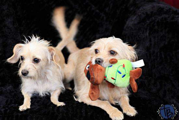 Grace and Hugo