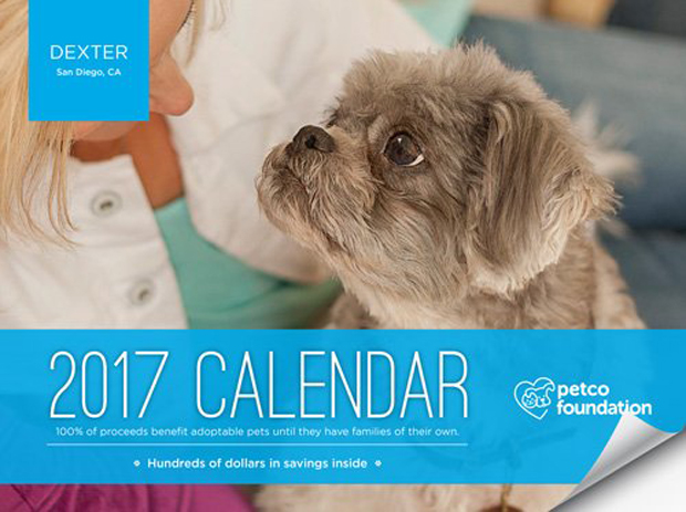 Petco Foundation Calendar