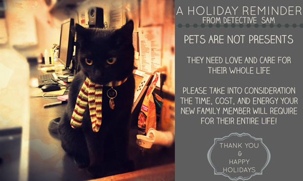 PetsAreNotPresents