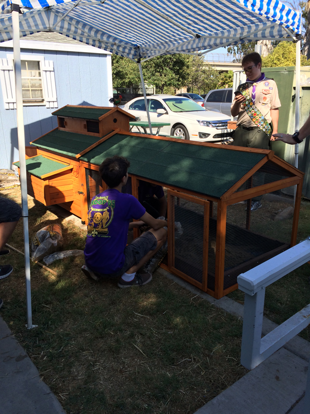 Team project with Chris and troop member