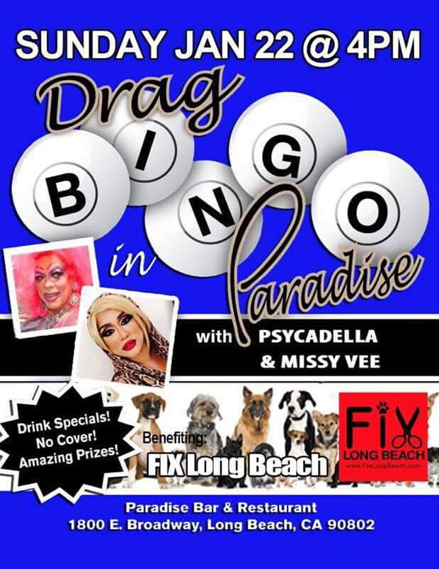 DRag Queen Bingo