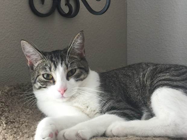 Linus