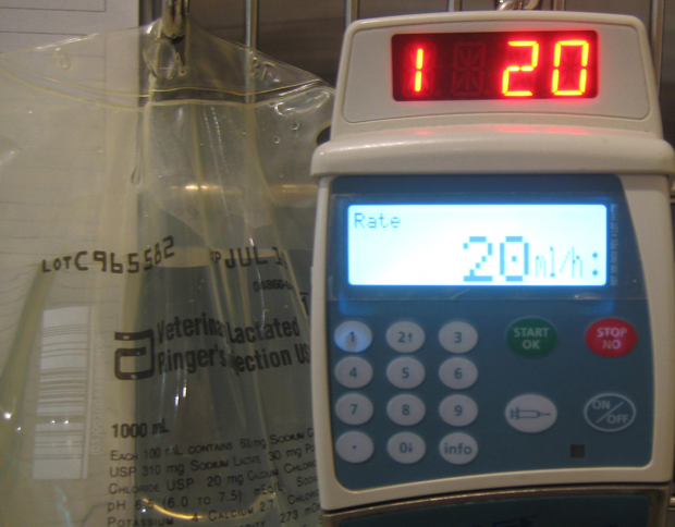 IV Fluids