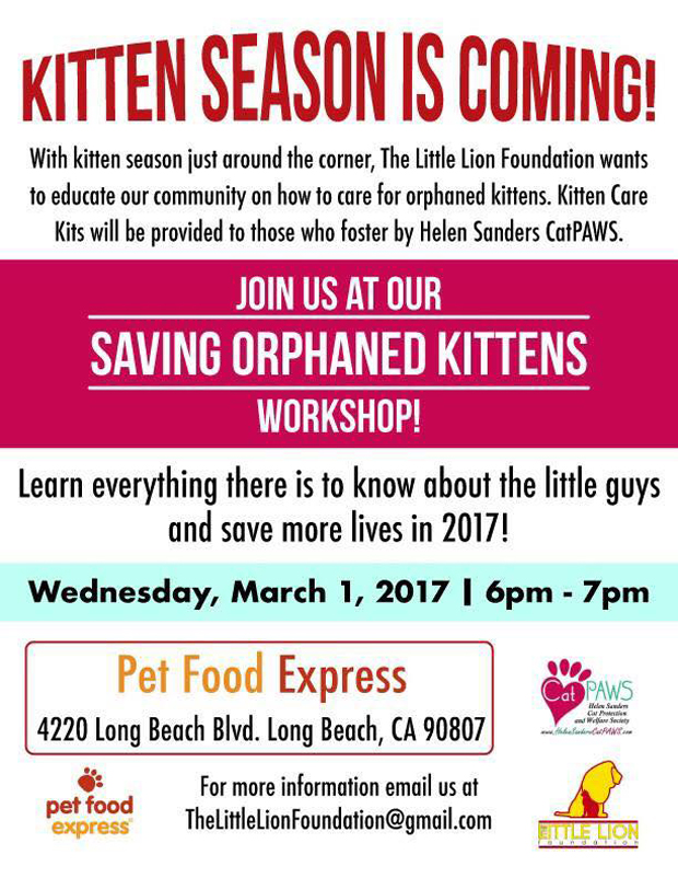 Kitten bottle-feeding workshop - Copy