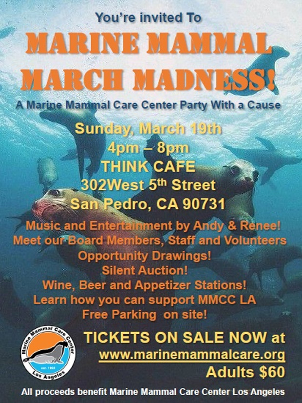 Mammal Madness - Copy