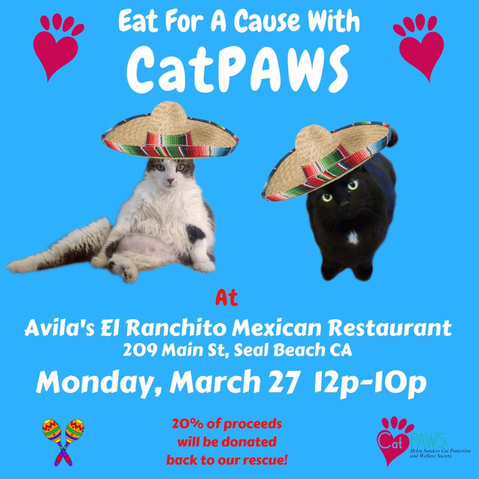 CatPAWS fund-raiser